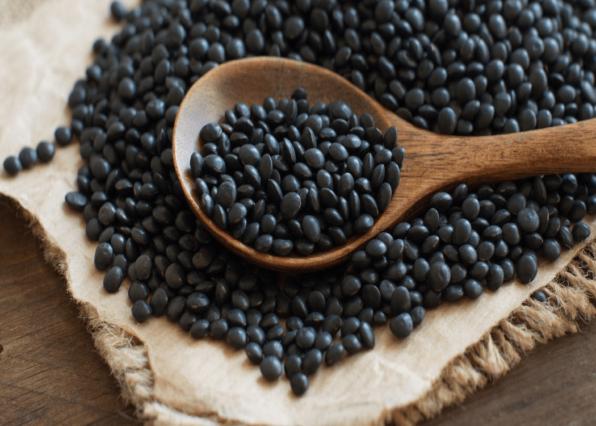 Dark Speckled Lentils