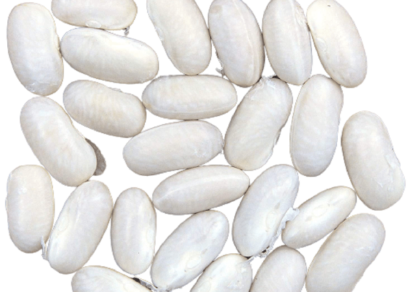 White Beans